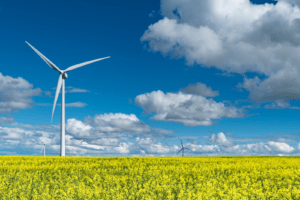 Swift Current wind turbines in Saskatchewan field